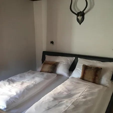 Toni Sailer Haus Daire Kitzbühel